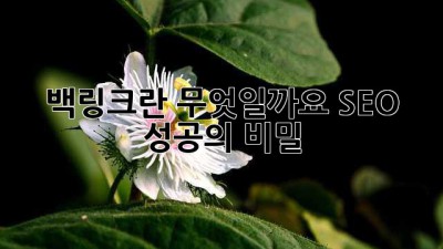 백링크란 무엇일까요? SEO 성공의 비밀